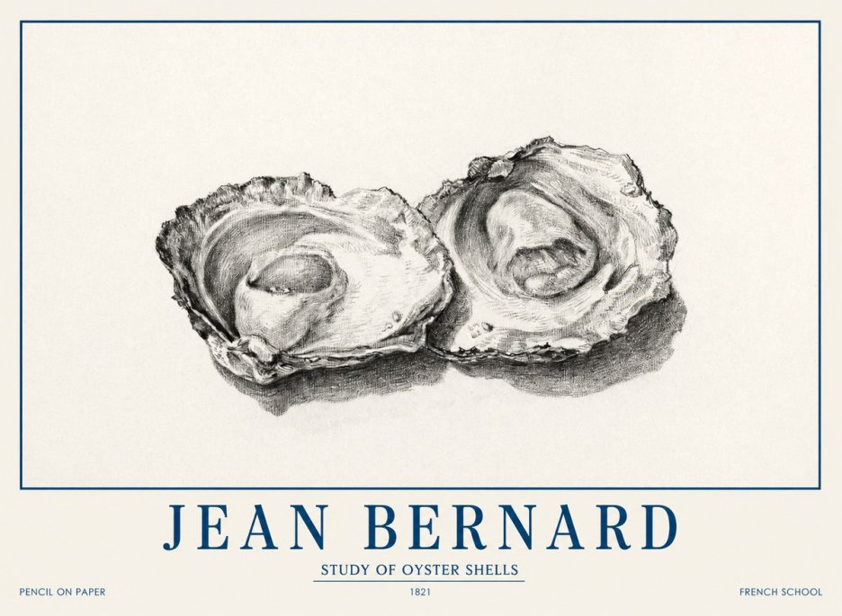 Jean Bernard Study of Oyster Shells No1 - Poszter