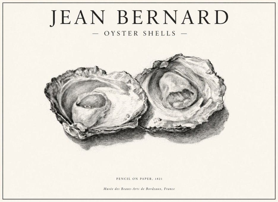 Jean Bernard Study of Oyster Shells No6 - Poszter