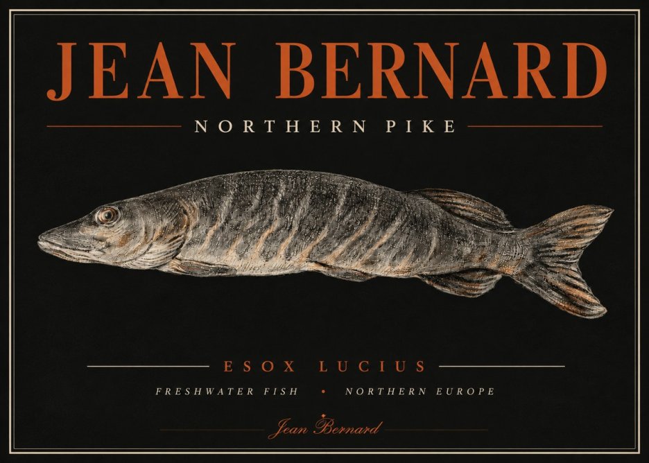 Jean Bernard Australian Lungfish No6 - Poszter