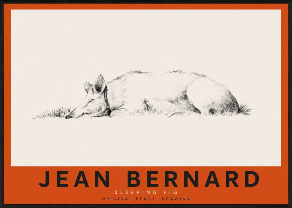 Jean Bernard Sleeping Pig II No3 - Poszter