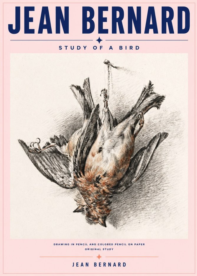 Jean Bernard Study of a Bird IV No6 - Poszter