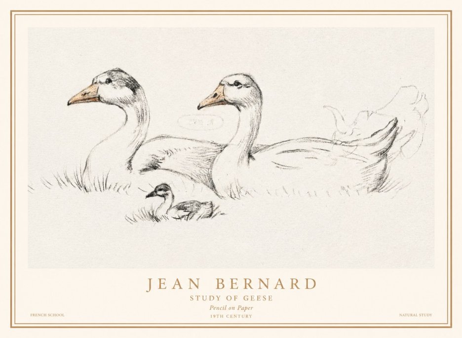 Jean Bernard Study of Geese No1 - Poszter