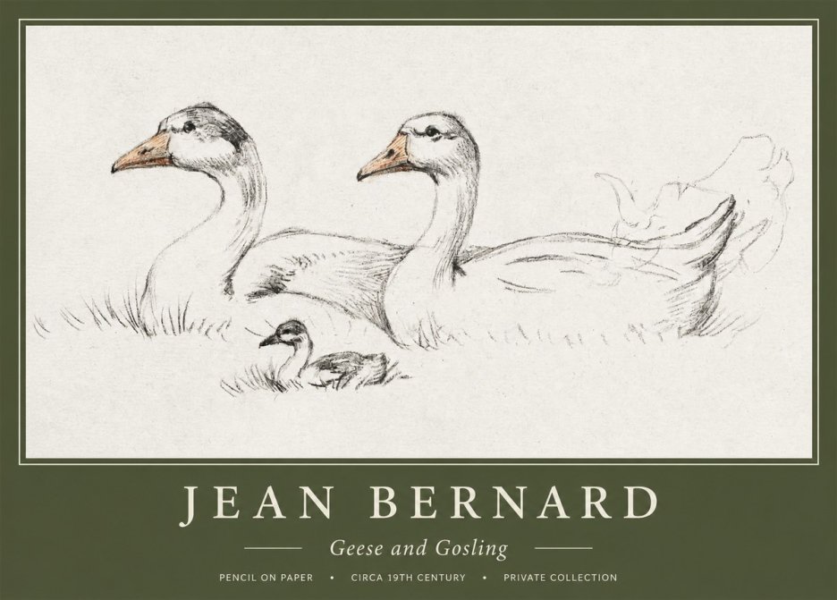 Jean Bernard Study of Geese No2 - Poszter