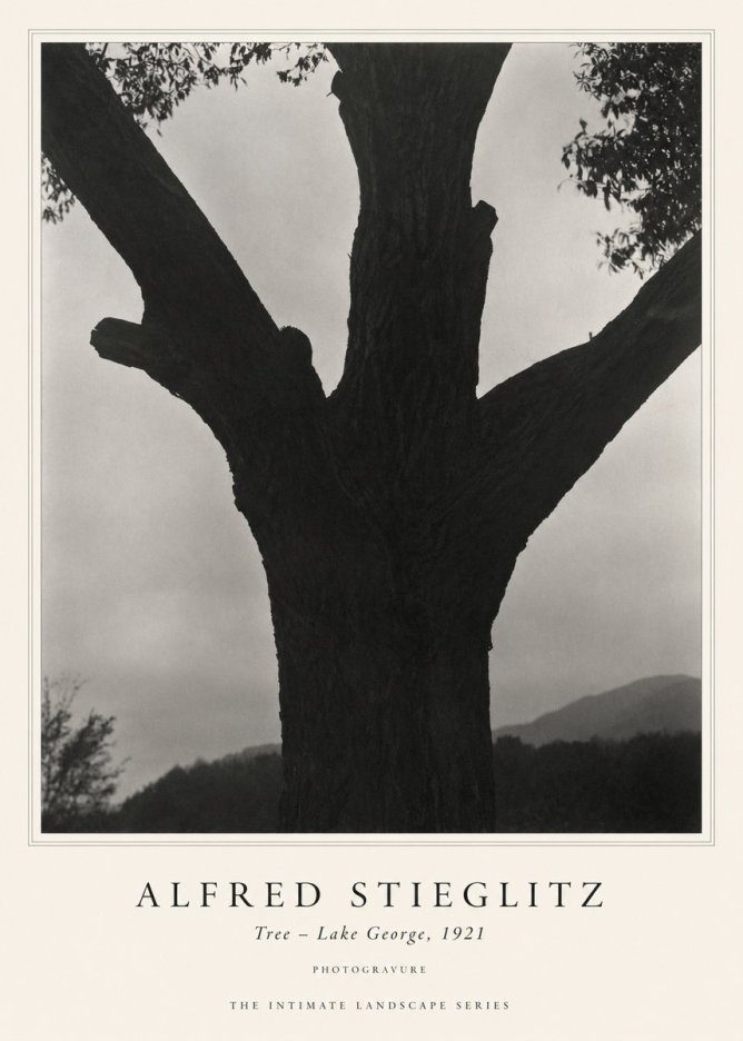Alfred Stieglitz Tree - Lake George, 1921 No1 - Poszter