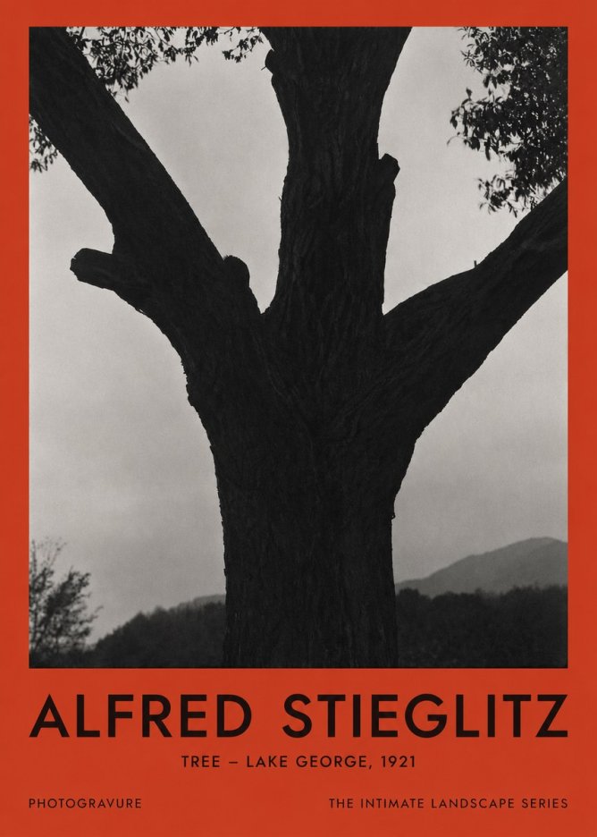 Alfred Stieglitz Tree - Lake George, 1921 No2 - Poszter