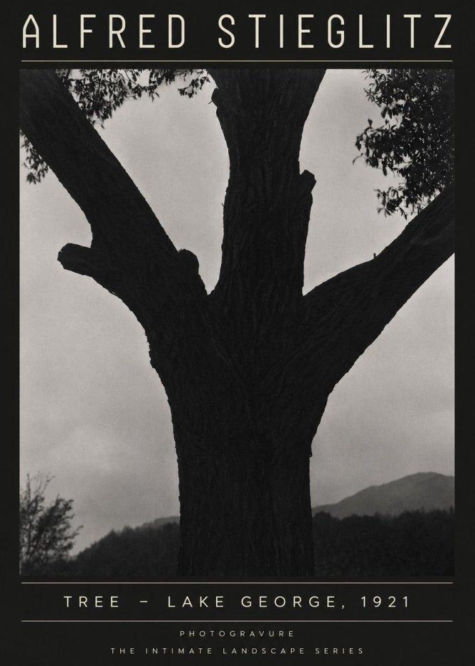 Alfred Stieglitz Tree - Lake George, 1921 No4 - Poszter