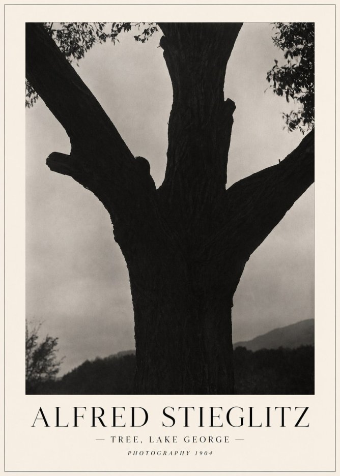 Alfred Stieglitz Tree - Lake George, 1921 No5 - Poszter