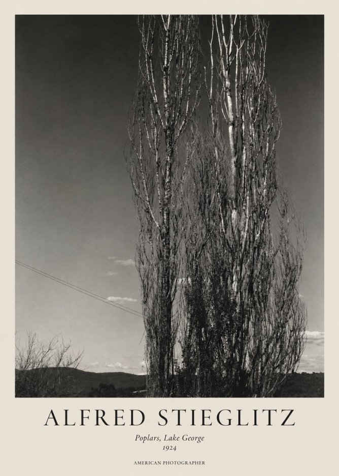 Alfred Stieglitz Trees - Lake George, 1921 No2 - Poszter