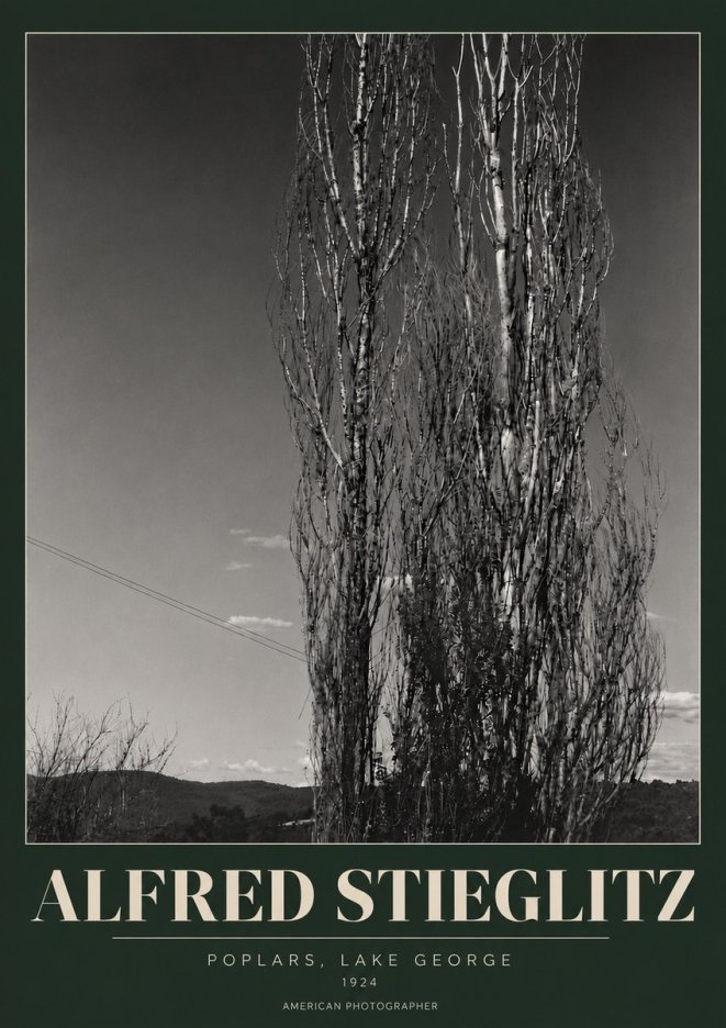 Alfred Stieglitz Trees - Lake George, 1921 No6 - Poszter