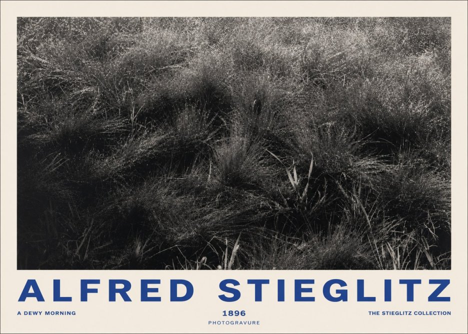 Alfred Stieglitz A Dewy Morning No2 - Poszter