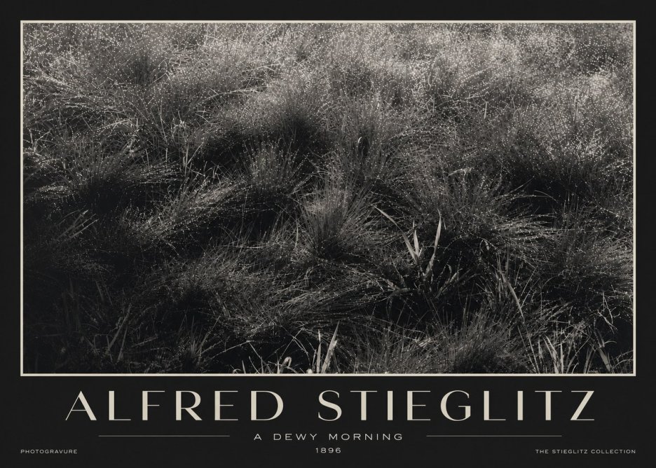 Alfred Stieglitz A Dewy Morning No3 - Poszter