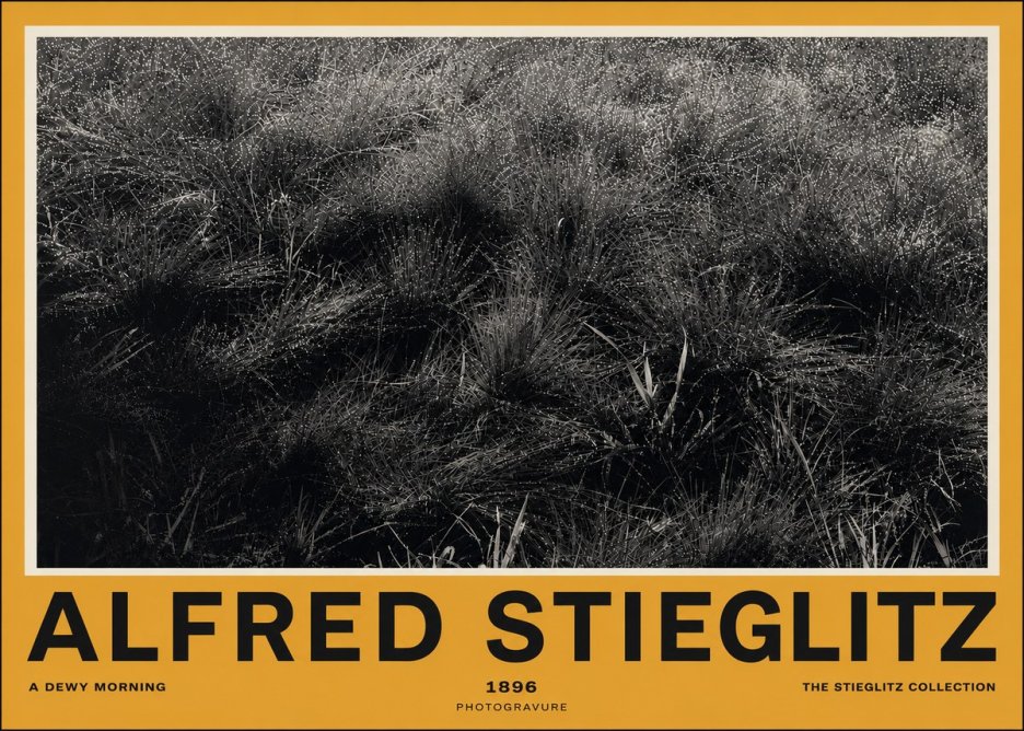 Alfred Stieglitz A Dewy Morning No4 - Poszter