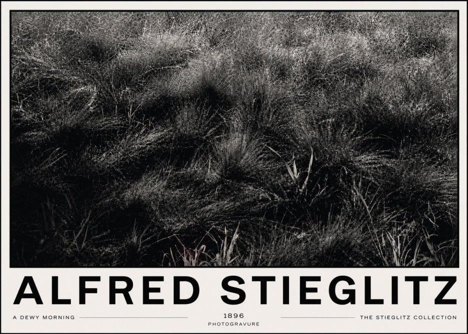 Alfred Stieglitz A Dewy Morning No6 - Poszter