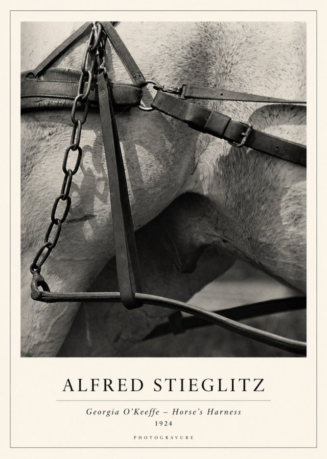 Alfred Stieglitz The Steerage I No2 - Poszter