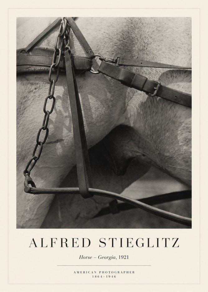 Alfred Stieglitz The Steerage I No6 - Poszter
