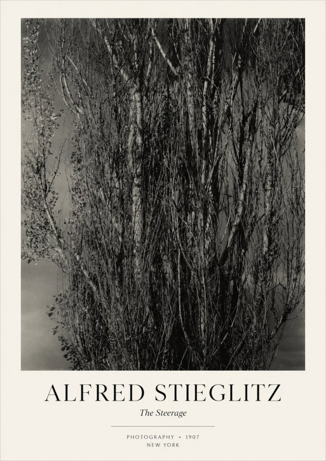 Alfred Stieglitz The Steerage II No3 - Poszter