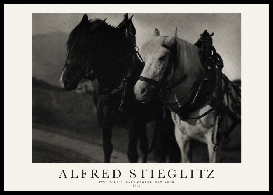 Alfred Stieglitz Two Horses, Lake George, New York No1 - Poszter