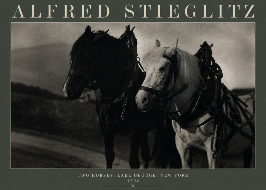 Alfred Stieglitz Two Horses, Lake George, New York No3 - Poszter