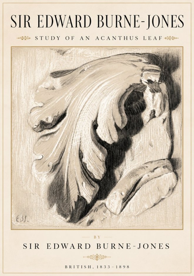Edward Burne-Jones Study of an Acanthus Leaf No2 - Poszter