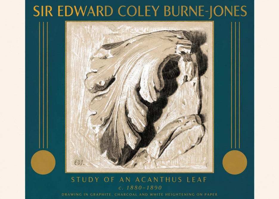 Edward Burne-Jones Study of an Acanthus Leaf No3 - Poszter