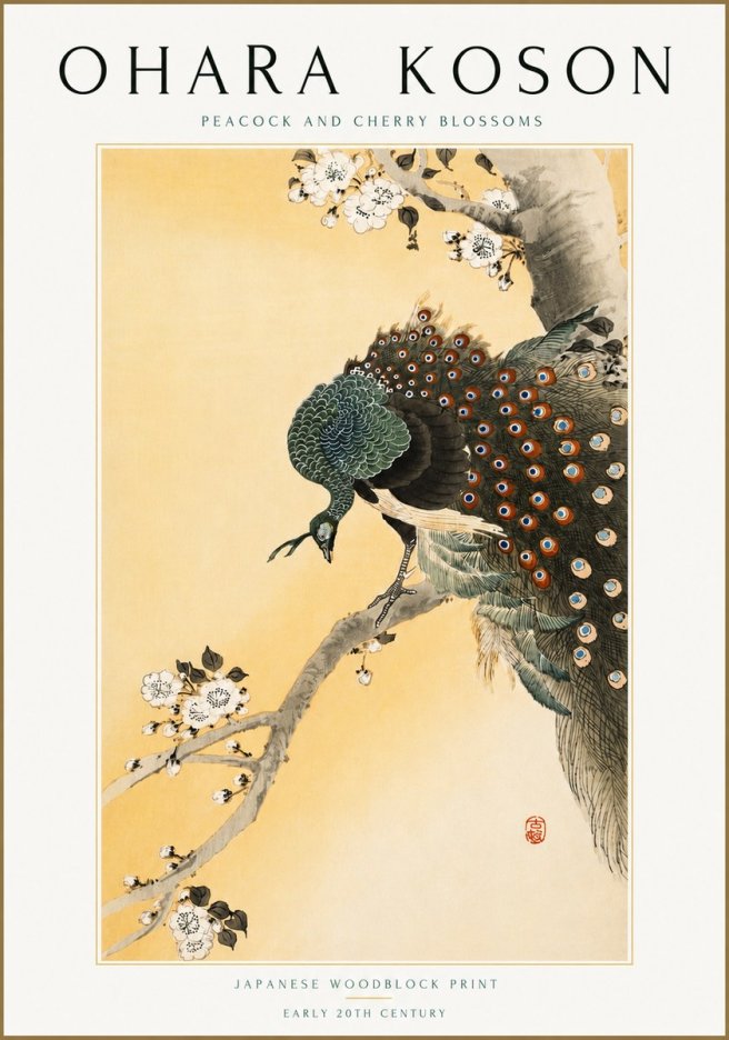 Ohara Koson Peacock and Cherry Blossoms No5 - Poszter