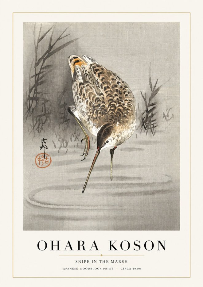 Ohara Koson Snipe in the Marsh No1 - Poszter