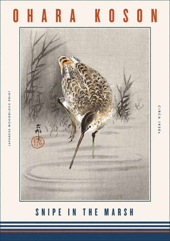 Ohara Koson Snipe in the Marsh No3 - Poszter