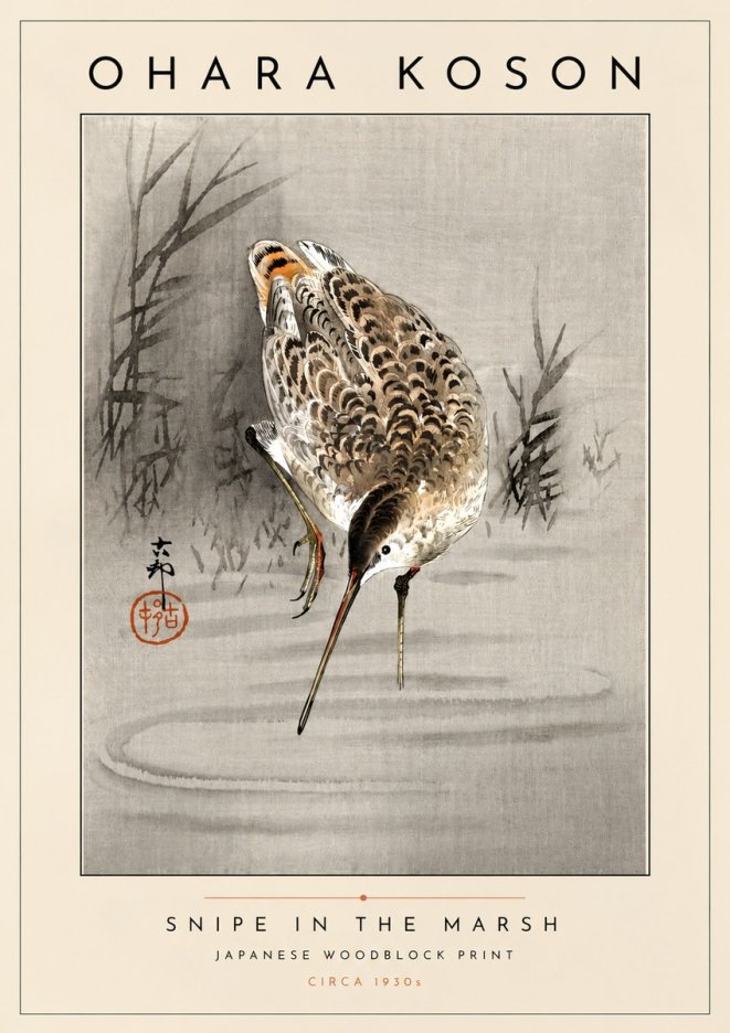 Ohara Koson Snipe in the Marsh No4 - Poszter