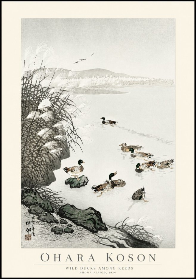 Ohara Koson Wild Ducks Among Reeds No1 - Poszter