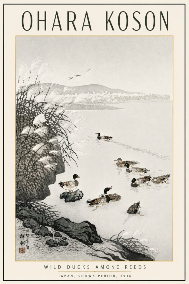 Ohara Koson Wild Ducks Among Reeds No5 - Poszter