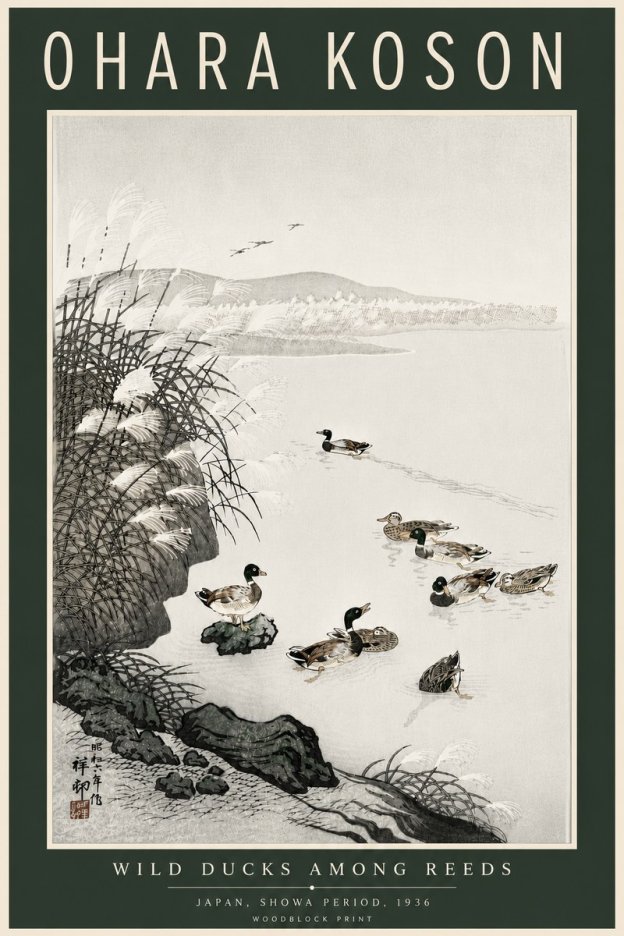Ohara Koson Wild Ducks Among Reeds No6 - Poszter