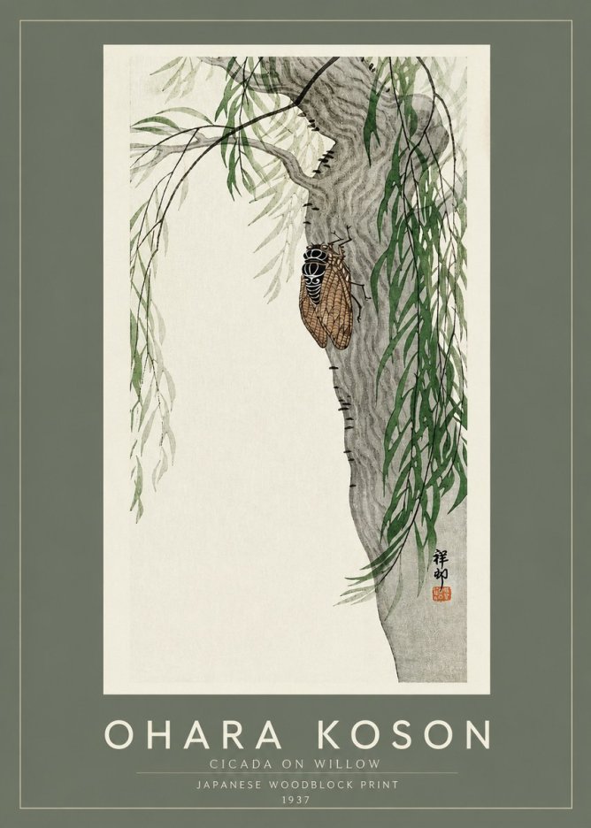 Ohara Koson Cicada on Willow No2 - Poszter