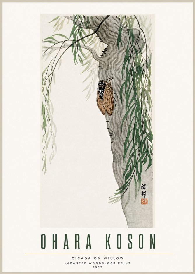 Ohara Koson Cicada on Willow No3 - Poszter