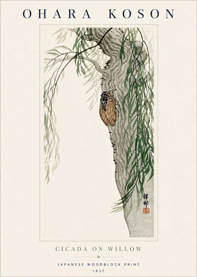 Ohara Koson Cicada on Willow No5 - Poszter