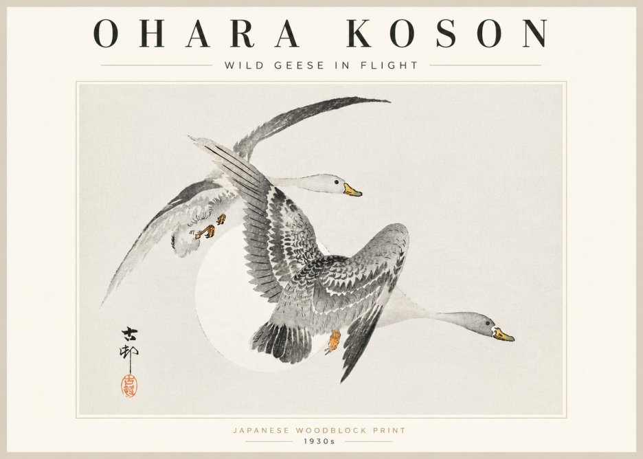 Ohara Koson Wild Geese in Flight I No5 - Poszter