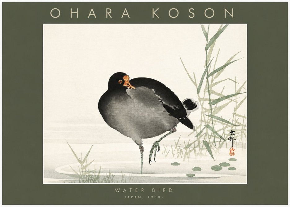 Ohara Koson Water Bird No2 - Poszter