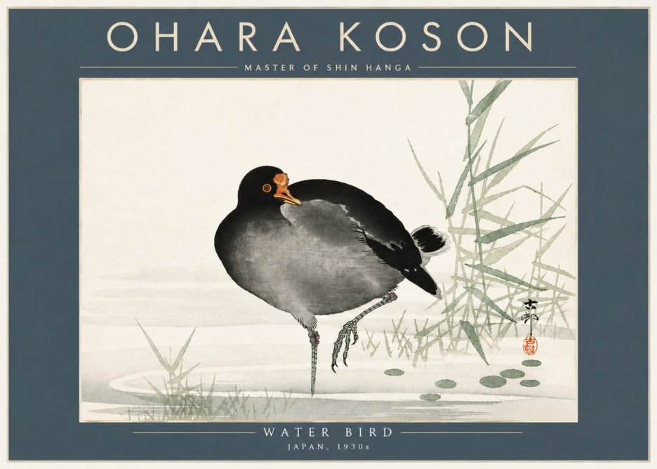 Ohara Koson Water Bird No5 - Poszter