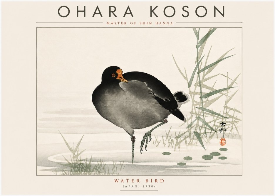Ohara Koson Water Bird No6 - Poszter