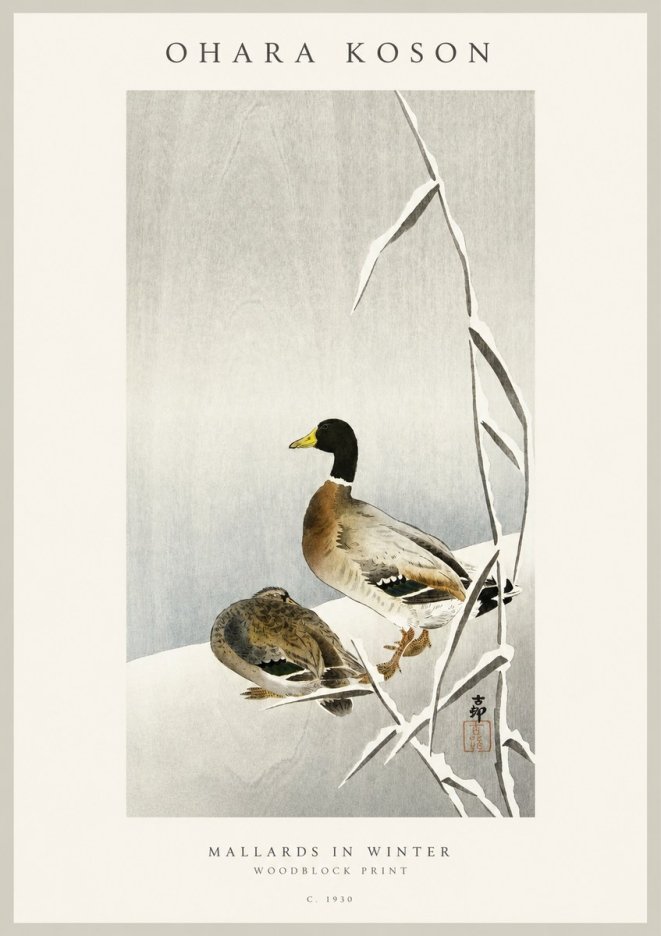 Ohara Koson Mallards in Winter No1 - Poszter