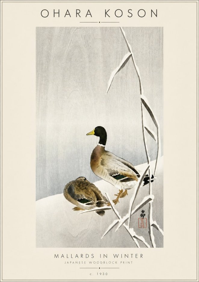 Ohara Koson Mallards in Winter No4 - Poszter
