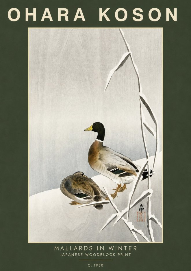 Ohara Koson Mallards in Winter No5 - Poszter