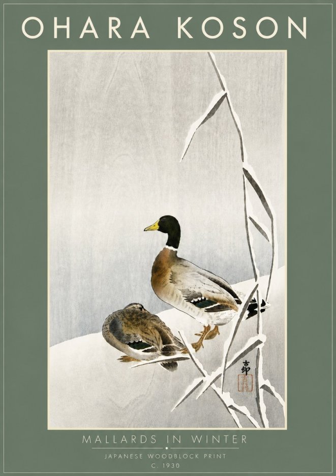 Ohara Koson Mallards in Winter No6 - Poszter