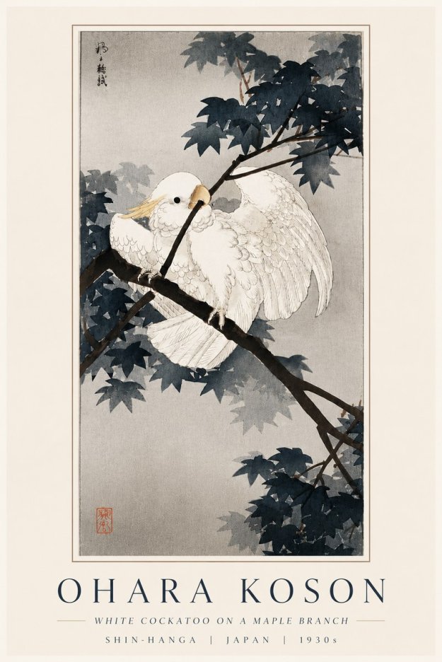 Ohara Koson White Cockatoo on a Maple Branch No6 - Poszter