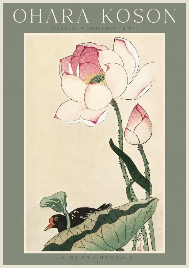 Ohara Koson Lotus and Moorhen No3 - Poszter