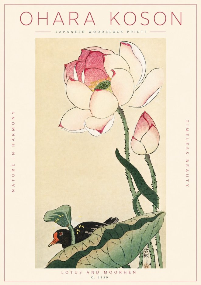Ohara Koson Lotus and Moorhen No4 - Poszter