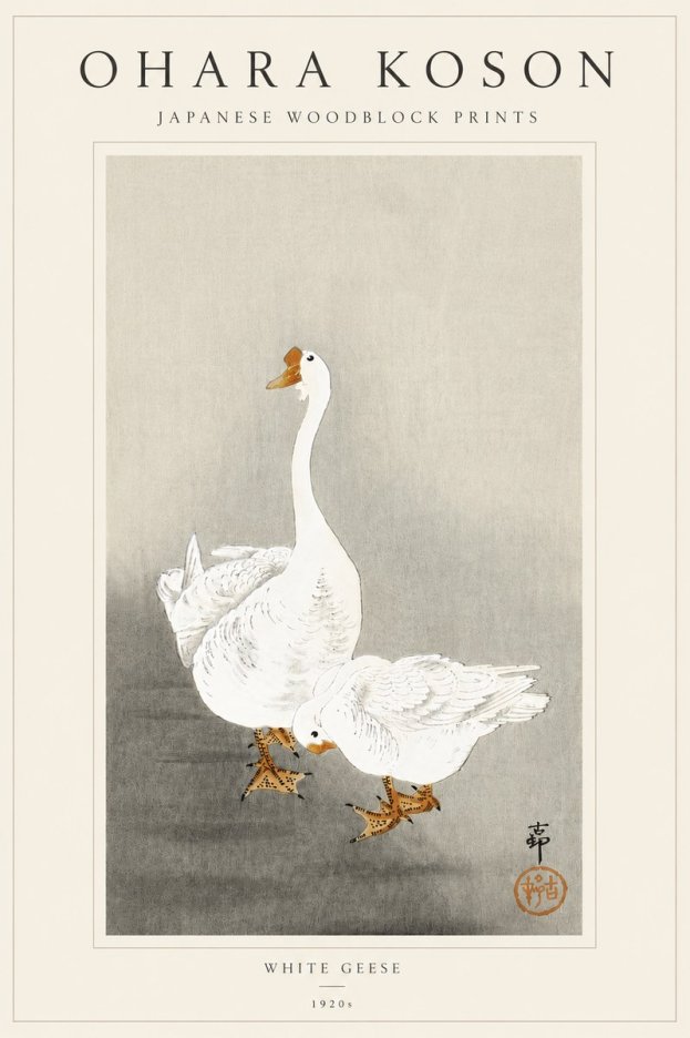 Ohara Koson White Geese No5 - Poszter