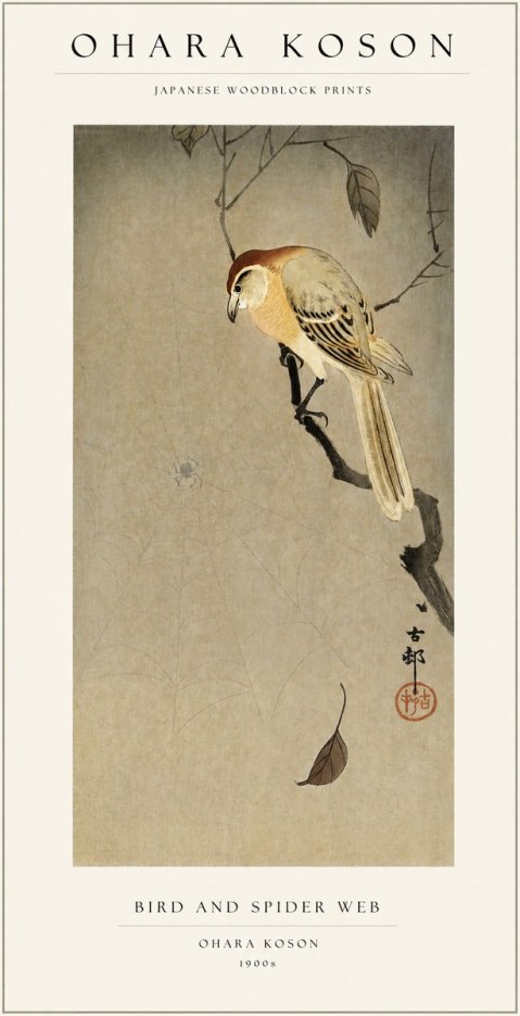 Ohara Koson Bird and Spider Web I No1 - Poszter