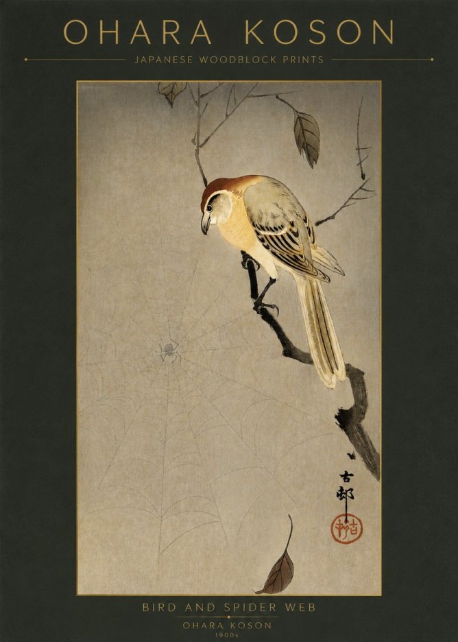 Ohara Koson Bird and Spider Web I No2 - Poszter