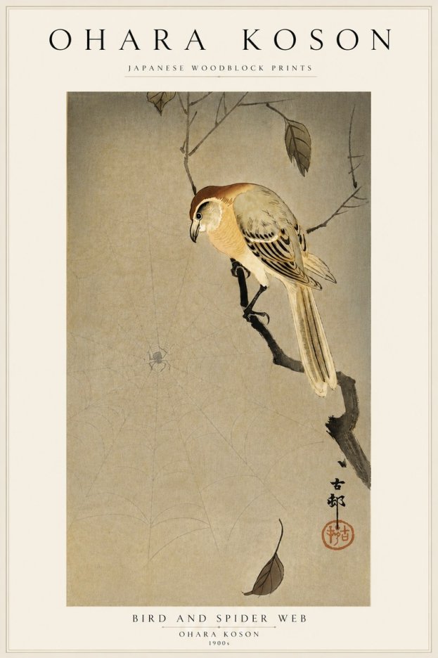 Ohara Koson Bird and Spider Web I No5 - Poszter