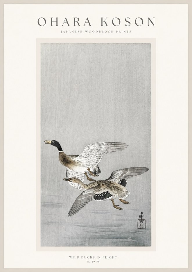Ohara Koson Wild Ducks in Flight No1 - Poszter